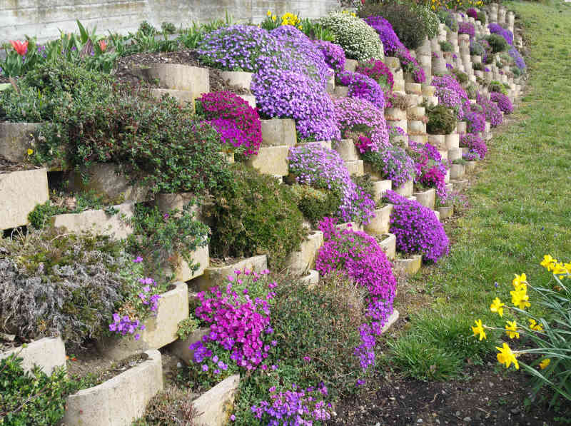 Floramur Ambiance 4